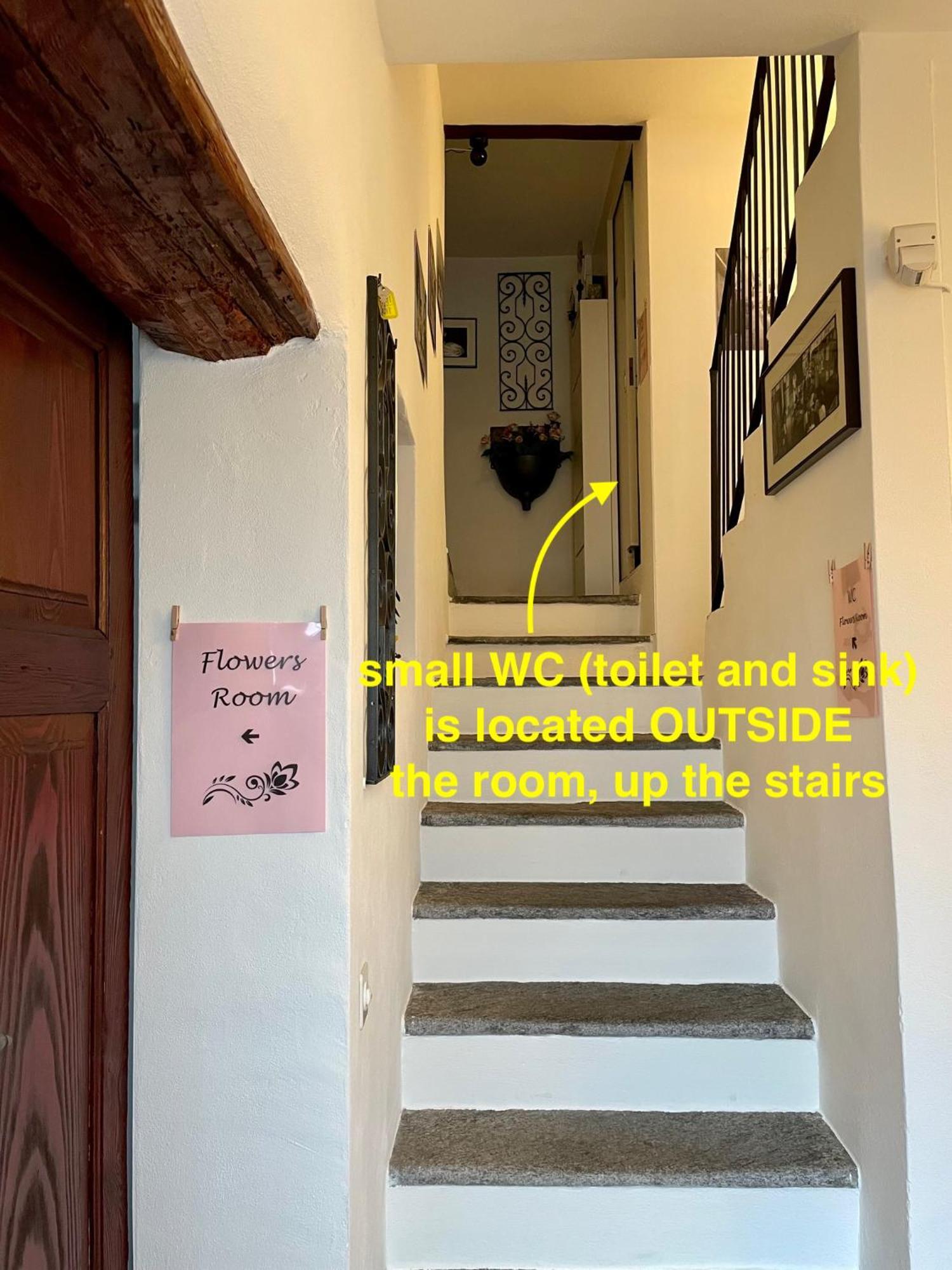 1912 - Flowers Room - Budget For Young Locarno Exterior foto